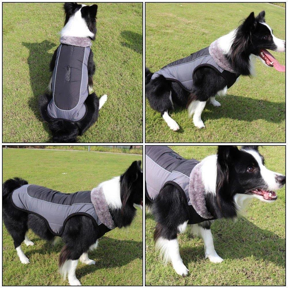 Waterproof Dog Jacket - Ustams